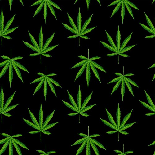 Cannabisanbauverbot im Kleingarten