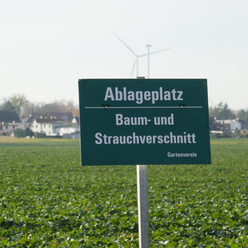 Baum- und Strauchschnitt Entsorgung 2026