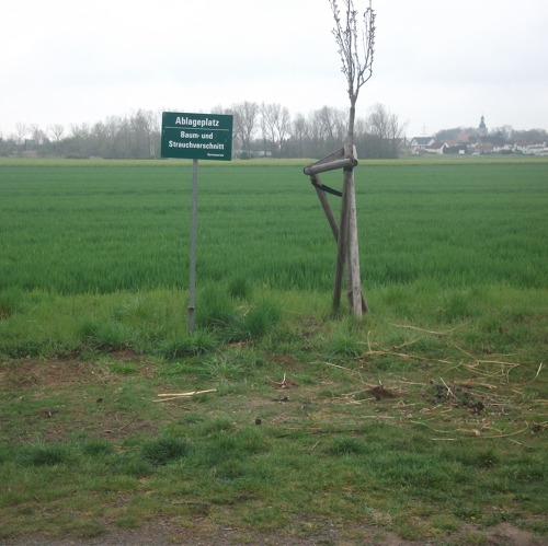 Gr&uuml;nschnitt