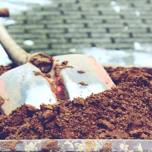 Gartenbegehung