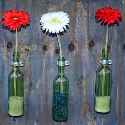 Gartenbegehung der Abteilung VII