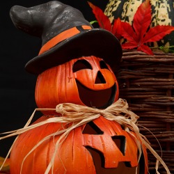 Herbstfest in der M&ouml;nchm&uuml;hle