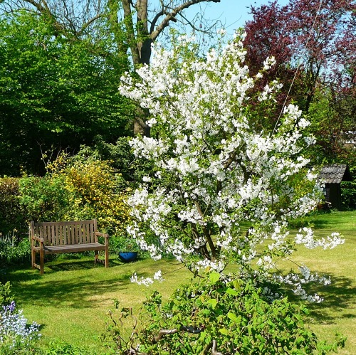 Abteilungsversammlung der Abteilung VII