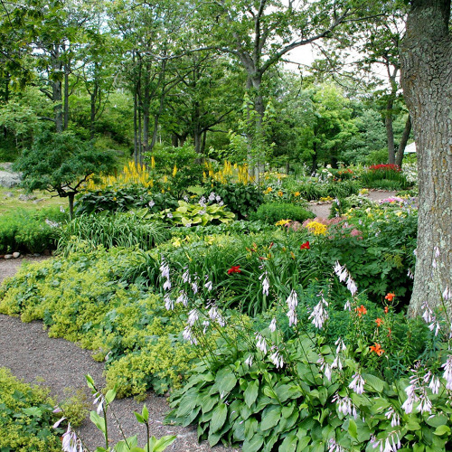 Abteilungsversammlung der Abt. VI