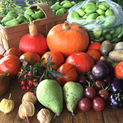 Veranstaltung im Obstgarten