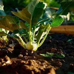 Abteilungsversammlung Abt. VI