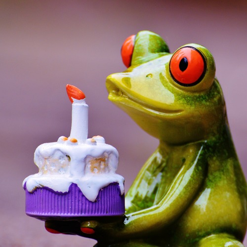 Sommerfest - 35 Jahre KGG