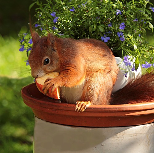 Die Bewerberliste ist ab 01.10.2025 wieder ge&ouml;ffnet