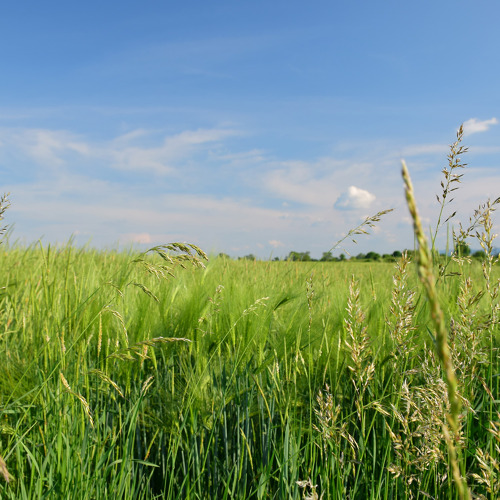 Bewerberliste aktuell geschlossen