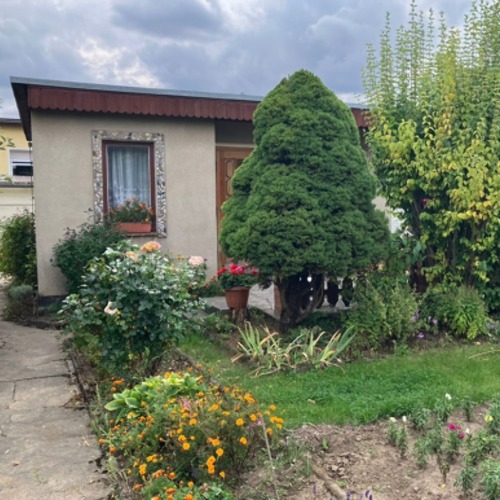 Sch&ouml;ner Garten sucht Nachp&auml;chter*in!