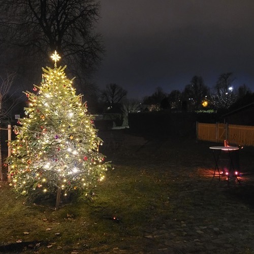 2. Paradiesisches Weihnachtsbaumschm&uuml;cken&nbsp;