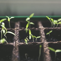Gartenbegehung in den Abschnitten Mulde 1 und Mulde 2