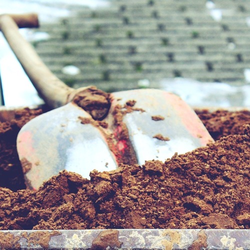 1. Termin Gemeinschaftsarbeit