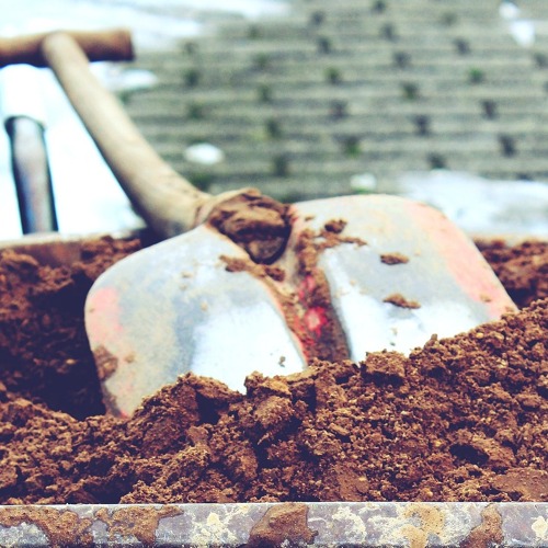 5. Termin Gemeinschaftsarbeit