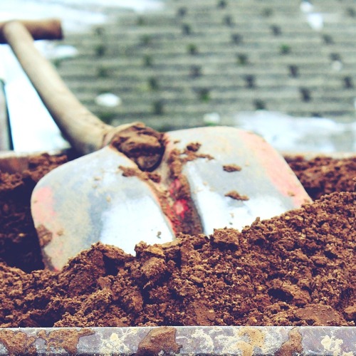 4. Termin Gemeinschaftsarbeit