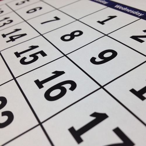 Gartenbegehung in den Abschnitten Mulde 1 und Mulde 2