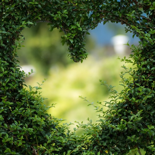 Herzlich Willkommen Gartenfreunde, Macher, Visionäre und Gestalter