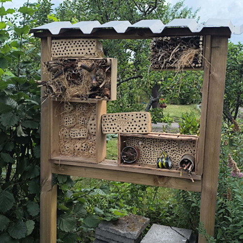 Ran an die Bienen - Kinder gestalten kreative Insektenhotels