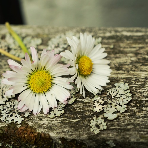 Mitgliederversammlung 2025