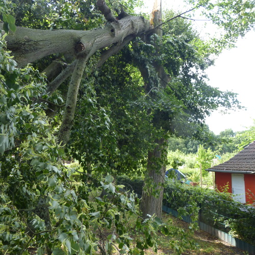 Vorhandene Versicherungen &nbsp;......... noch immer aktuell ?
