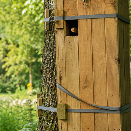 Pilotaktion f&uuml;r mehr Artenvielfalt: Insektenboxen f&uuml;r unsere Kleingartenanlage