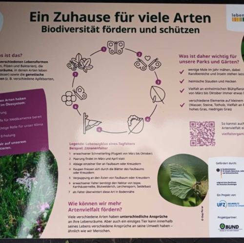 Vielfaltergarten: Ein Meilenstein für Biodiversität und Schmetterlinge