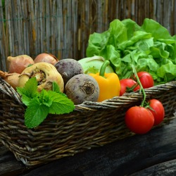 Das Gartenjahr: Von Apfel bis Zucchini