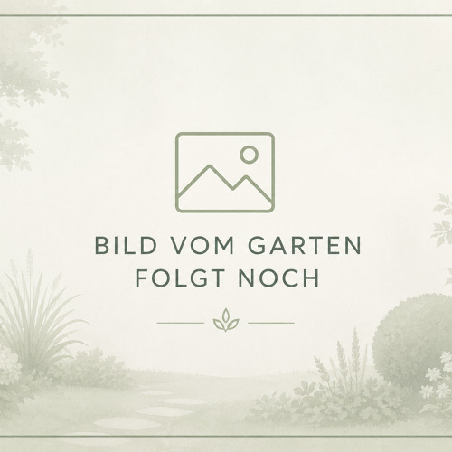 Garten 10 Nordanlage