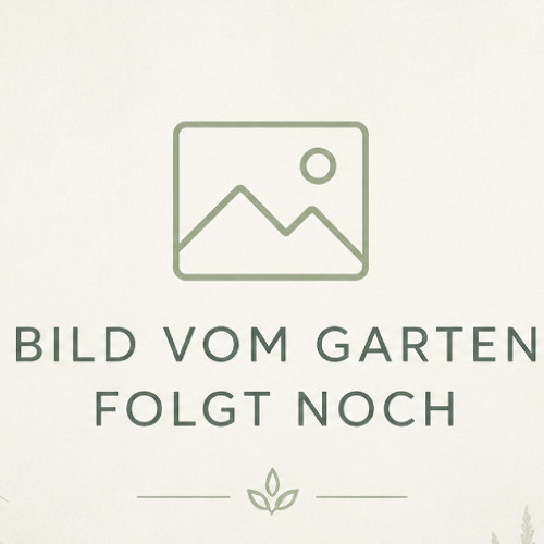 Garten 10 Nordanlage