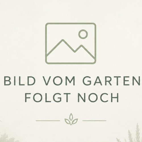 Garten 149 S&uuml;danlage