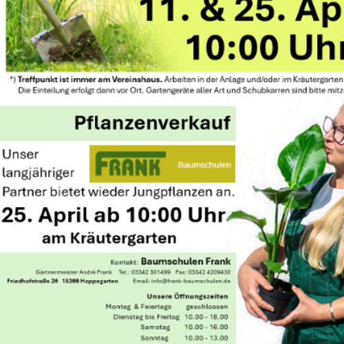 Pflanzenverkauf & Arbeitseinsatz