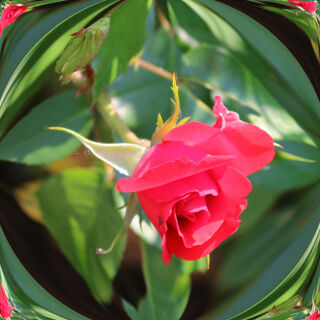 KGV Frohes Schaffen e.V.