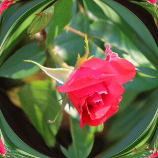 KGV Frohes Schaffen e.V.