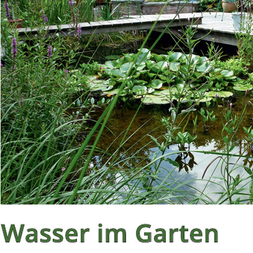 G&auml;rtnerwissen: Wasser im Garten