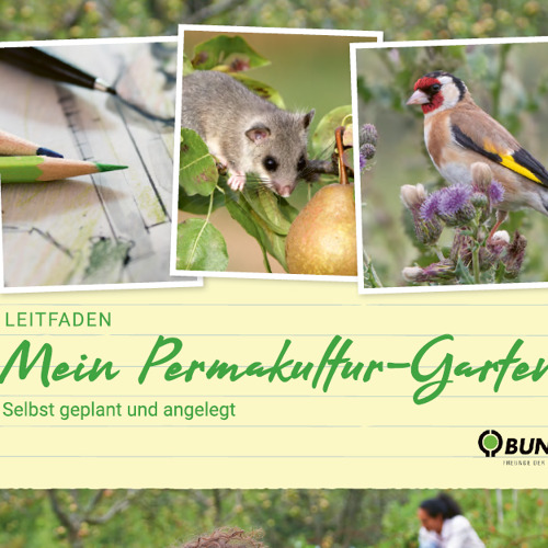 Mein Permakultur-Garten