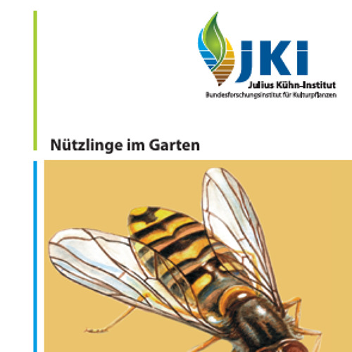 N&uuml;tzlinge im Garten