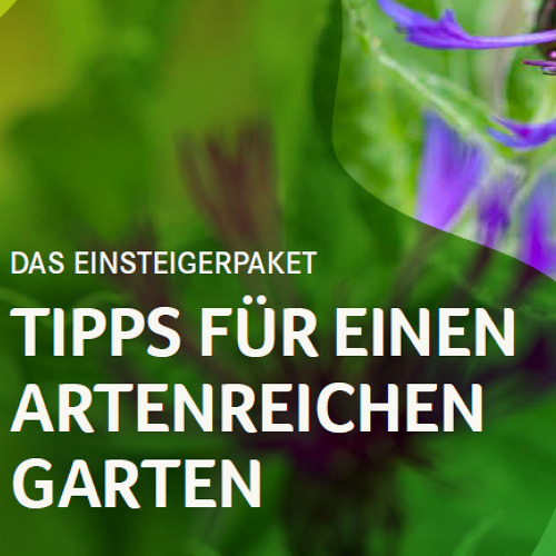 Tipps f&uuml;r einen artenreichen Garten