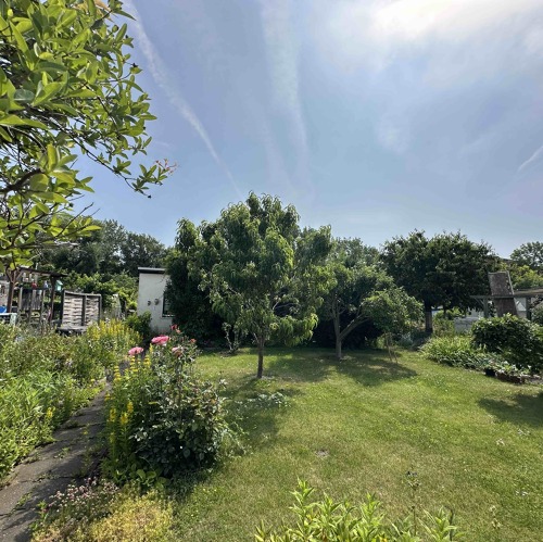 Bewerbung um einen Garten bei uns