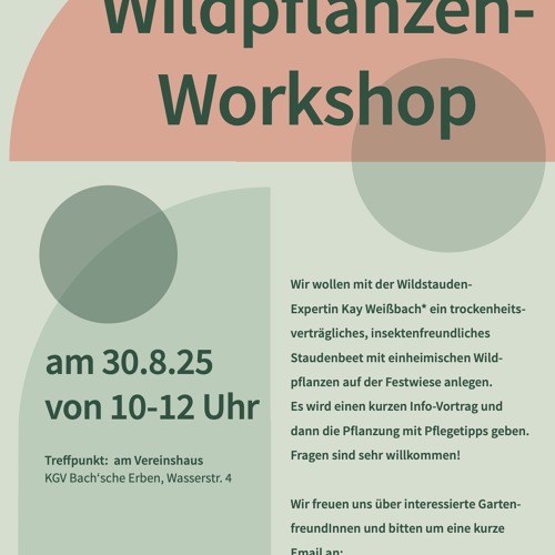 🌿 Einladung zum Wildpflanzen-Workshop am 30. August 🌿
