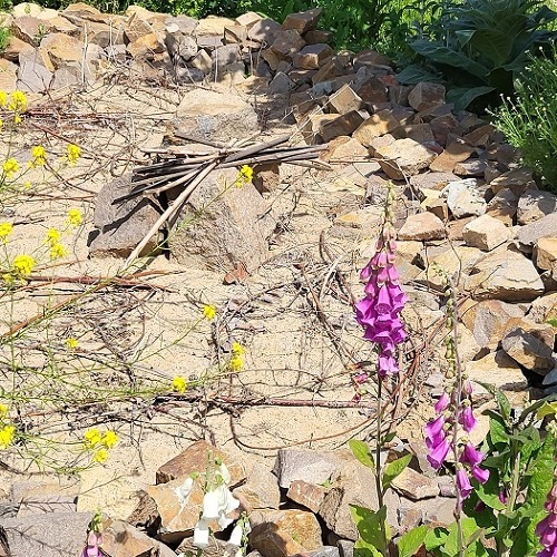 Sandarium - eine Nisthilfe für Wildbienen