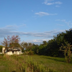 Gang 8: Nr. 447 mit 1006m2 (mit Laube) &nbsp;&nbsp;