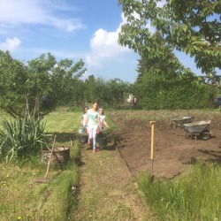 Noch einige freie Parzellen suchen neue Gartenliebhaber 