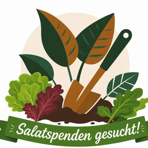 Salate f&uuml;r die Jahreshauptversammlung 2026