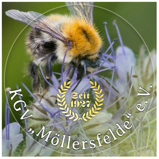 KGV &bdquo;M&ouml;llersfelde&ldquo; e. V., Schillingweg 90